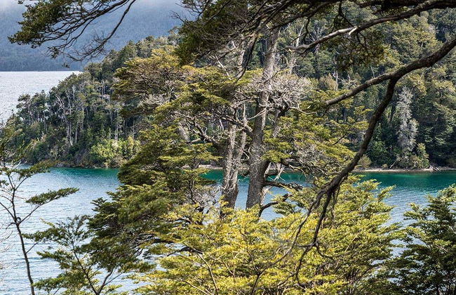 Bariloche Excursion - Foto 7