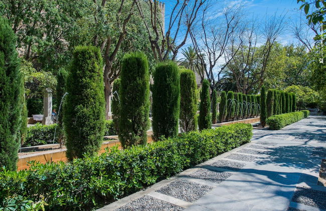 El Pradillo in Palmanyola - Photo 35