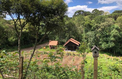 Chalé com Vista para Vinhedo e Natureza - Foto 19