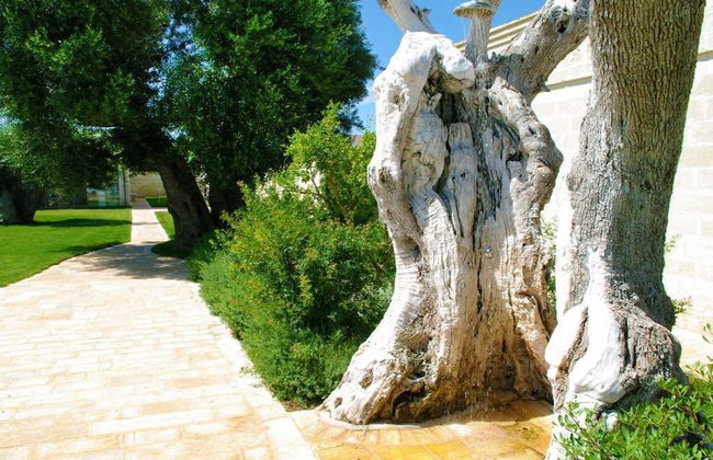 Masseria Torre del Diamante - Photo 2