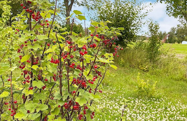 2 Person Holiday Home in Kil-by Traum - Foto 13