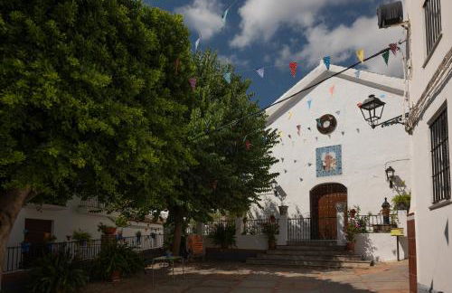 Comeback el Rinconcito de Guajar - Foto 28