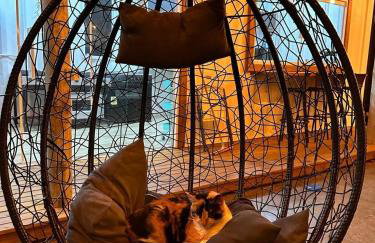 Villela Home Stay - Villa Kubitschek - Lago Sul - Foto 53