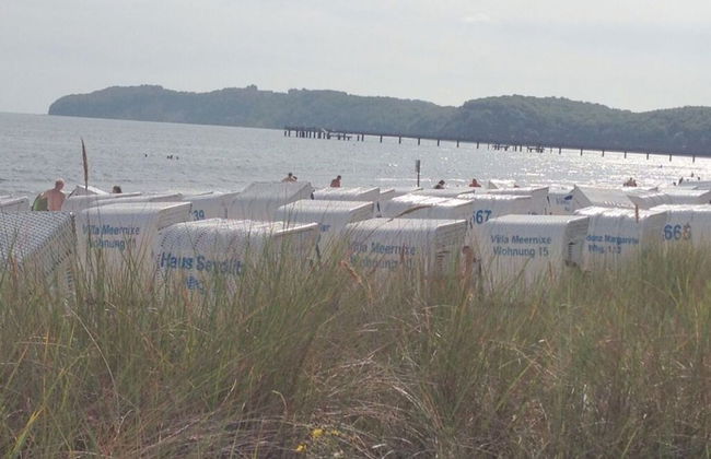 Herring Gull in the Villa Meernixe Binz - Photo 14