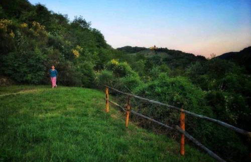 Casa nel bosco il Grottone - Foto 43