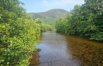 Regina apartment in Fort William - Foto 54
