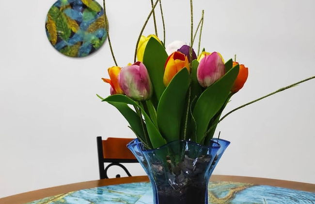 100 Mts From Malecón Weekly Monthly Discount - Foto 7