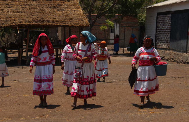 Visite à la découverte de la culture huichol - Photo 9