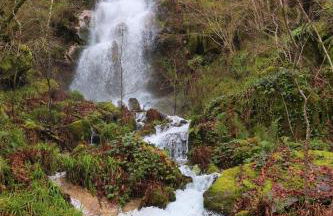 Quinta da Riba Má - Foto 18