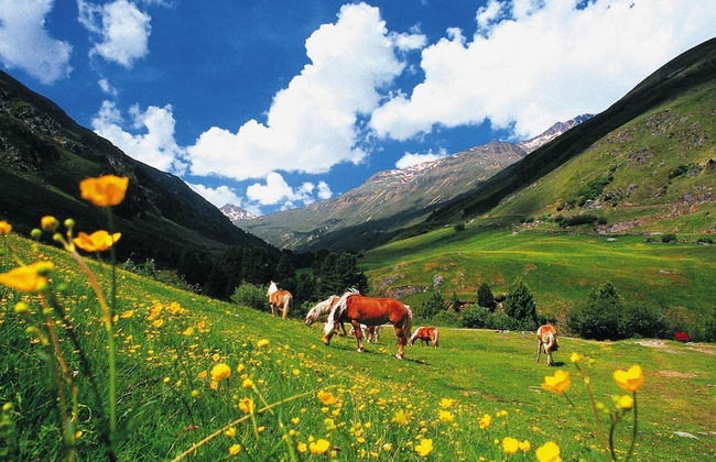 Cosy Holiday Home in Langenfeld - Foto 16