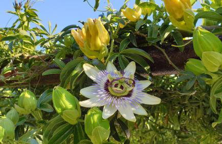 Apartment Lucas - Foto 26