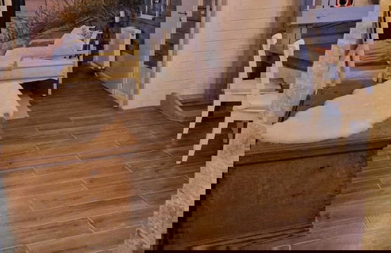 Apartmenthaus in Walle - Foto 37