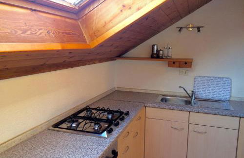 Appartamenti Pichler - Foto 71