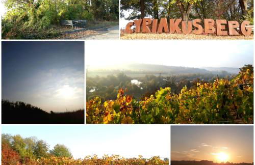 Ferienwohnung Hornig Zwei Terrassen, Parkplatz, separater Eingang - Foto 36