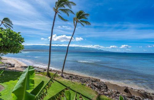 Direct Oceanfront—Fully remodeled—Sleeps 6 - Foto 19