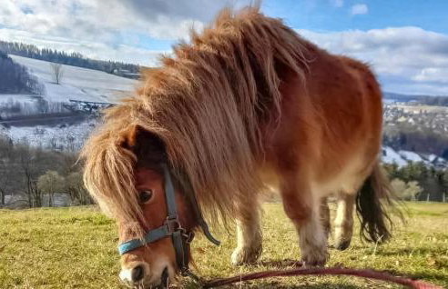 Ferienwohnung Schwarzenberg - Foto 15