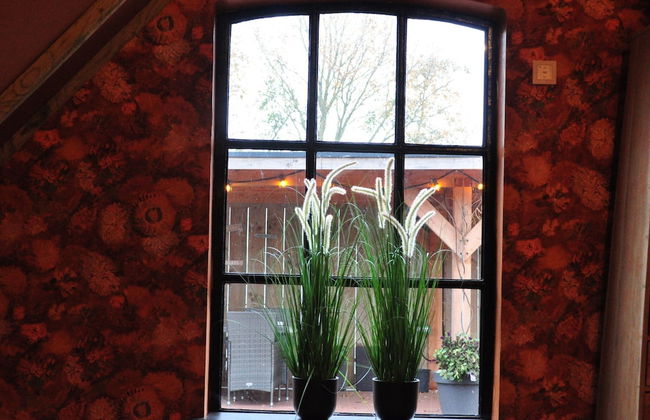 Shed 57b in an old Flour Mill in Haulerwijk - Foto 3