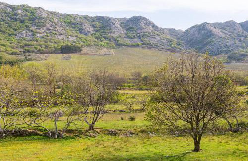 Apartments Ena & Leona - Foto 66