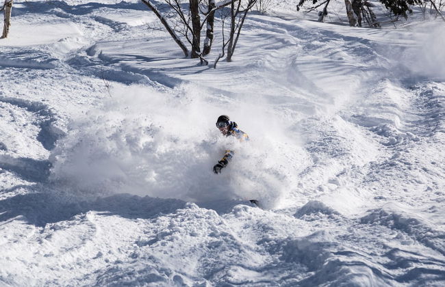 The Orchards Niseko - Foto 61