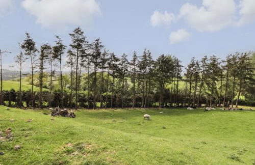 Ysgubor Fachwen - Photo 22