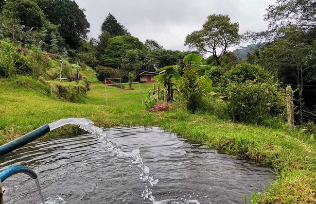 Millar de Aves - Foto 16