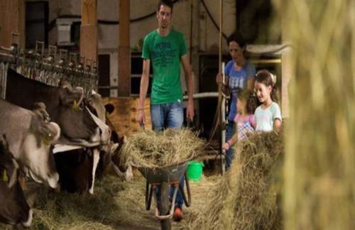 Unterhohnenhof - Foto 15