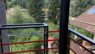 Gemütliches Einzimmer-Apartment 33 - Foto 5