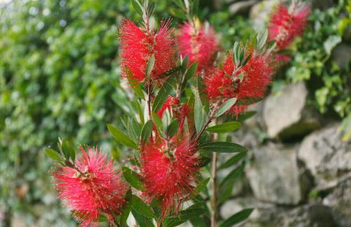 Galpon Boutique Aldea De Abaixo - Foto 6