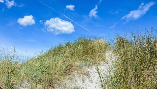 8 Person Holiday Home in Albaek-by Traum - Foto 5, Miscelánea