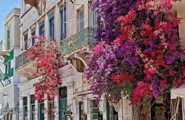 Traditional Medieval Stone house in "Ano Syros" - Foto 59