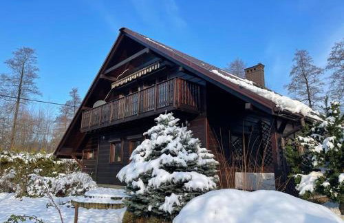 BESKIDIUM - uroczy dom Brenna - Foto 33