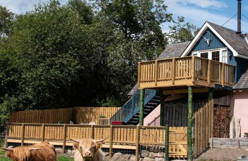 Beautiful dog friendly lodge with hot tub - Foto 1