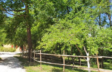 LA FIGUIERA de 1 à 4 personnes - Foto 24