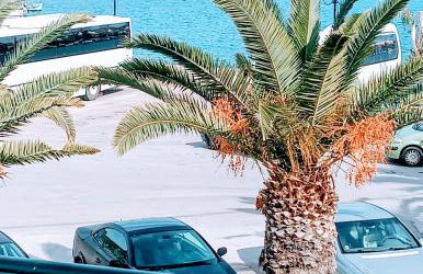 Hermione Port Luxury Residence - Foto 3