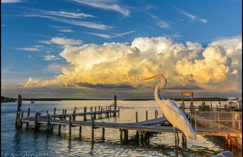 Affordable Two Bedroom Tropical Condo - Private Beach, Pools, Hot Tub - Foto 76