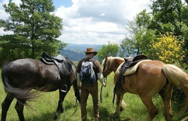 Fattoria i Ciliegi - Photo 73
