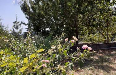 Corfu Cosy Apartment by the Nature - Foto 3