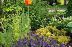 Luxuriöses Ferienhaus mit Sauna, Whirlpool und Fitnessraum im Nationalpark Schwarzwald - Foto 9