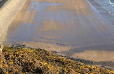 Little Oaks - Photo 37