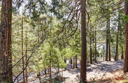 Deck and Fire Pit Stunning Twain Harte Cabin! - Photo 31