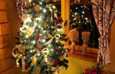 Jabłoniowa Chatka - Foto 7