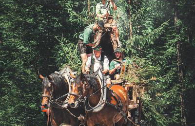 Zum Kistlerwirt - Foto 44