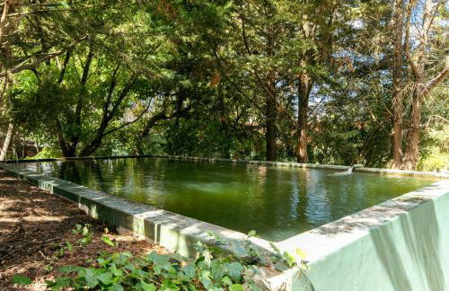 NEW! Quinta de Zanão House - Foto 73