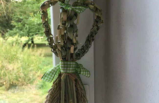 Hof Kiebitz - In Ostrau - Foto 13