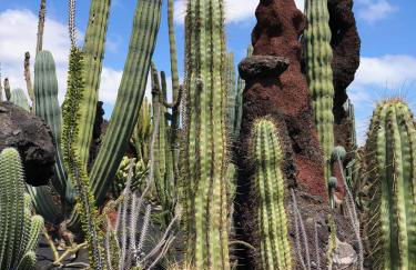 Casa Lili - Shared Pool - Close to Seafront Promenade - Sea Views from upper terrace - Foto 25