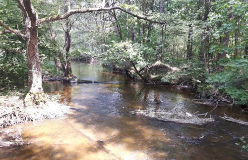 Mazury domek całoroczny Pelnik gm Ostróda jezioro las - Photo 17