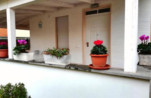 RomaDamare - Foto 10