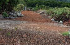 Casa Nieves de Mario - Foto 39