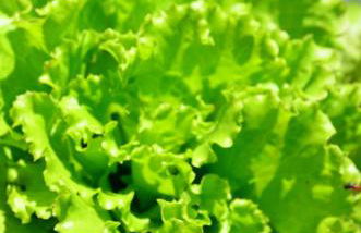 Agriturismo La Montina - Foto 52