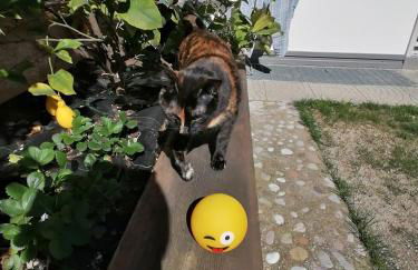 Appartamento Meridiana - Foto 14